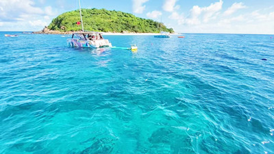 海南海洋旅游：亲水海南，恣意人生，体验南海生态之美