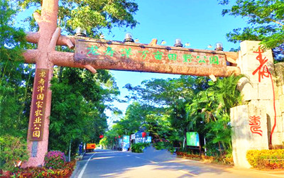 龙寿洋乡村生态旅游区：四季花海，欣赏不一样的花景