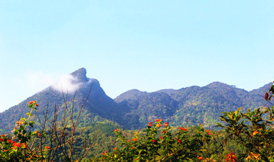 琼中鹦哥岭：山峰陡峭，植被茂密，景象十分壮观