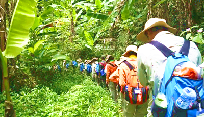海南乐东雨林探险：一次神秘而刺激的旅程