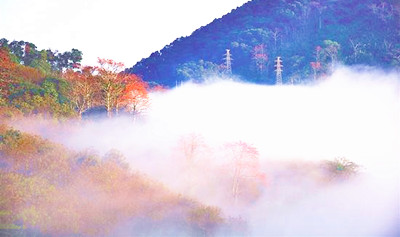 白沙九架岭：水墨淋漓，令人赏心悦目，心旷神怡