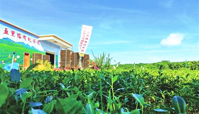 五里路共享农庄：机茶、民宿、餐饮、研学等旅游景点