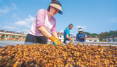 海南农垦品咖啡之旅：感受全球咖啡文化的独特魅力