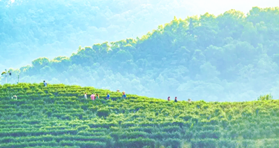 五指山“趣”游指南来啦！快带上好朋友去打卡~